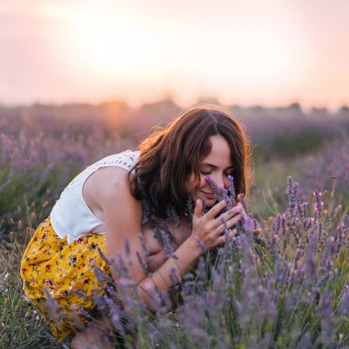 Air Wick Botanica- Kit Aromatizador de Ambiente - French Lavender & Honey Blossom